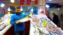 İzmir Foça tezgahlarında levrek bolluğu