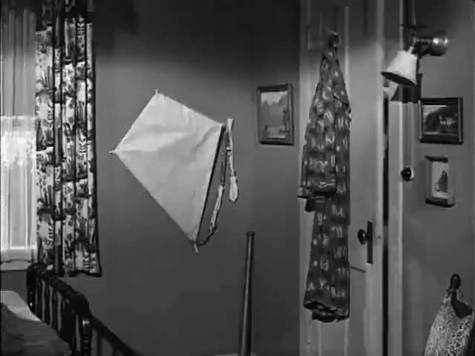 The Real McCoys - Se3 - Ep14 HD Watch