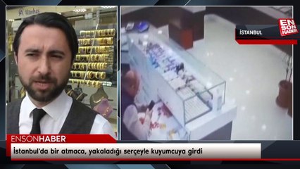 İstanbul'da bir atmaca, yakaladığı serçeyle kuyumcuya girdi