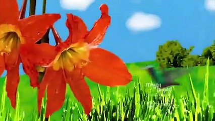 The Secret Life of the American Teenager - Se4 - Ep14 HD Watch