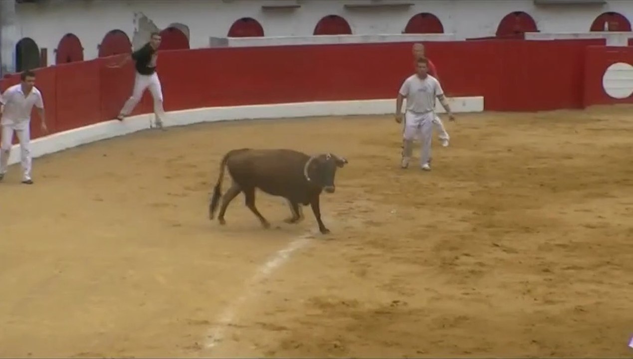 01.08.10 Riscle !!Cap de Gascogne Cocardes   Consolante