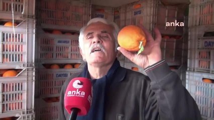 Sinoplu Pazarcı: "Ben Portakalın 3 Kilosunu 45 TL'den Sattığım Zaman Benim Karım 4-5 Tl. Para Mıdır Bu?"