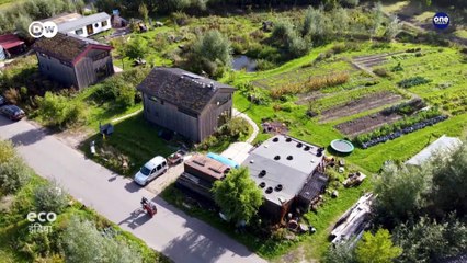 नीदरलैंड्स में बच्चों के लिए ग्रीन कस्बा बसाते माता-पिता