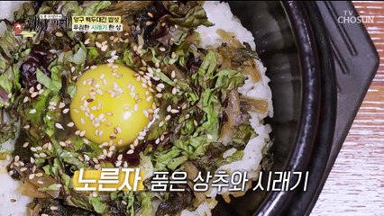 흡사 새둥지 고추장 없이 슴슴하게 즐기는 돌솥비빔밥 TV CHOSUN 20230127 방송