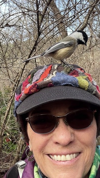 Beautiful Birds Befriending Bystanders