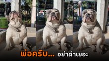คิวต์ไม่ไหว ! ตูบโดนพ่อดุหนักมาก นั่งฟังเงียบกริบ สำนึกผิดแทบไม่ทัน