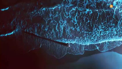 Escándalo, relato de una obsesión - Tráiler