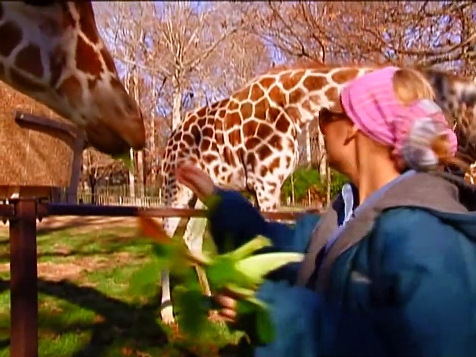 The Simple Life - Complete Series - Ep27 HD Watch