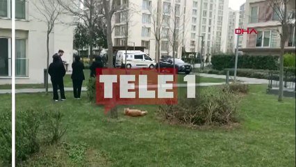 İstanbul'da 3'ü çocuk 4 kişi ölü bulundu