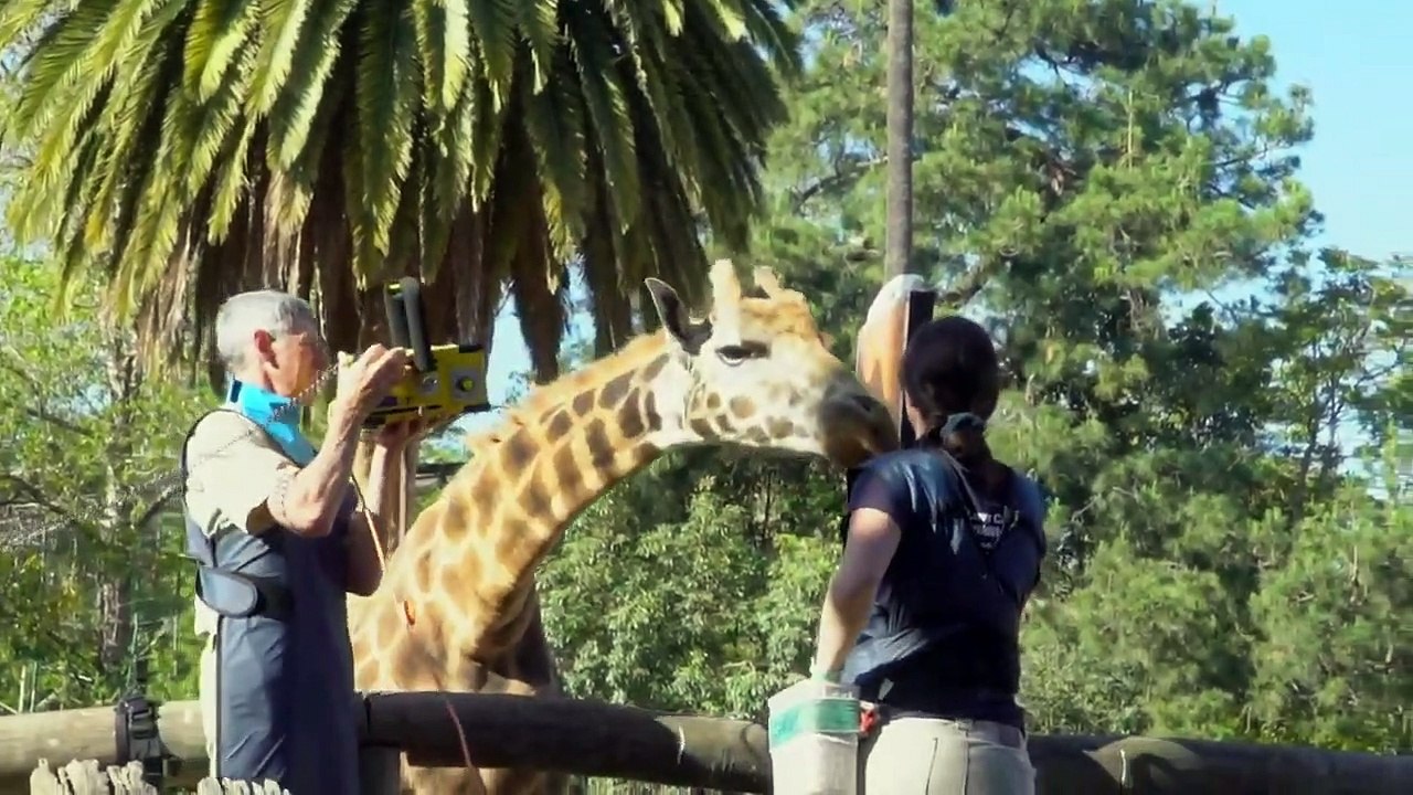 Mega Zoo - Se1 - Ep03 HD Watch