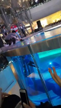 Man Falls into Water During Concert and Nearly Drowns