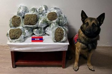 YOLCU OTOBÜSÜNDEKİ UYUŞTURUCUYU 'ASIR' BULDU