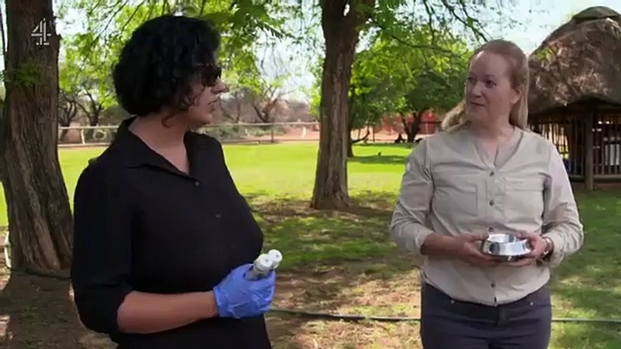 Work on the Wild Side - Se1 - Ep07 HD Watch