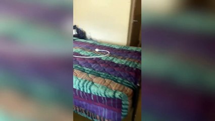 Watch this grandmother's eyes light up in absolute shock as she gets surprise visit from her sister