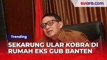 Pelemparan Sekarung Ular Kobra Di Rumah Eks Gubernur Banten Jelang Kunjungan Anies, Teror Politik Makin Liar?