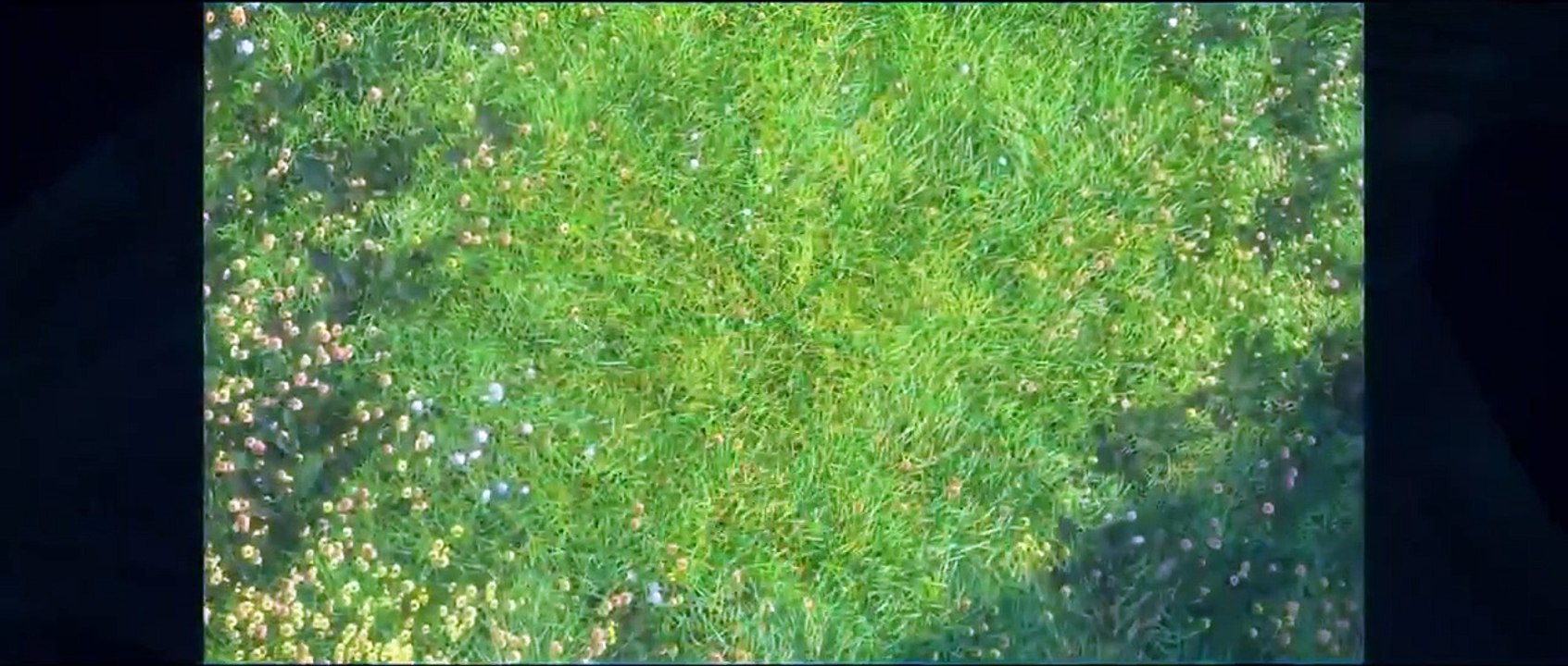 Zenimation - Se1 - Ep03 - Discovery HD Watch