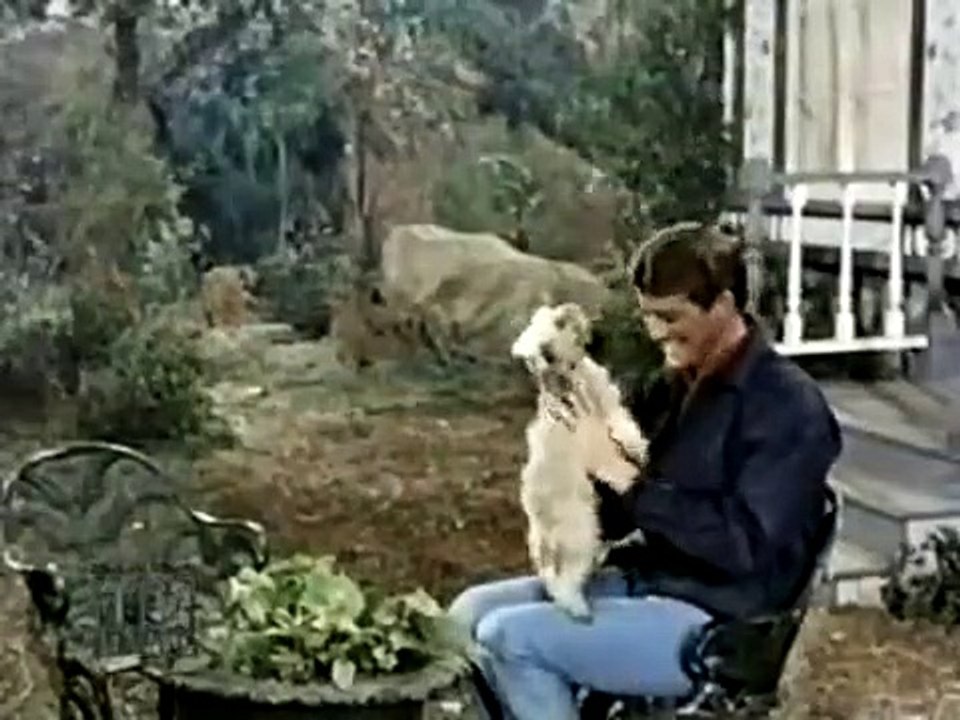 Petticoat Junction - Se5 - Ep21 HD Watch