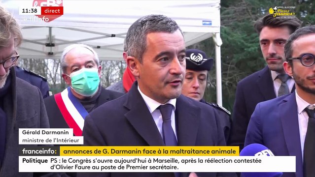 Maltraitance animale: Le ministre de l'Intérieur Gérald Darmanin annonce la création d'un référent dans chaque commissariat et gendarmerie - Regardez
