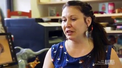 The Zoo (2017) - Se2 - Ep01 - Kangaroo Dave HD Watch