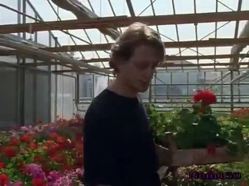 Rex - A Cop's Best Friend - Se3 - Ep05 HD Watch