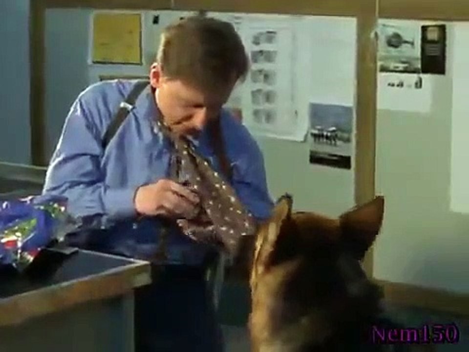 Rex - A Cop's Best Friend - Se3 - Ep10 HD Watch
