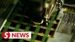 Japan, Netherlands to restrict China chip exports