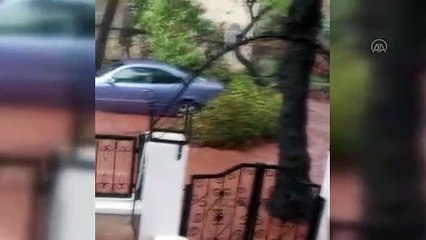 Marmaris'te sel ve fırtına: Ağaçlar yerinden söküldü