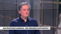 Christophe Marie :«Il y a des nécessités de revoir les conditions d’élevage, d’abattage et de transports des animaux de boucherie» dans #MidiNews