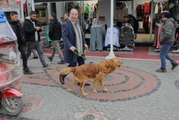 Edirne Belediye Başkanı Gürkan, Sahiplendiği Foks ile Şehir Turuna Çıktı