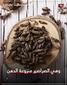 «مصدر للبروتين البديل» الاتحاد الأوروبي يسمح باستخدام الصراصير في الطعام