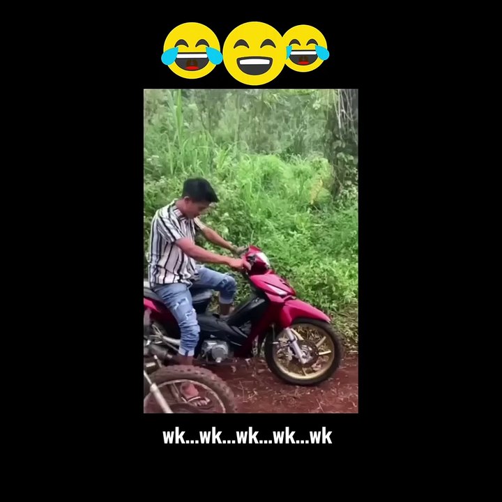 Funny video, lots of behavior....lol