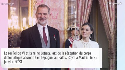 Letizia d'Espagne ignorée par un invité : Rare geste d'agacement en public, la reine professionnelle malgré tout