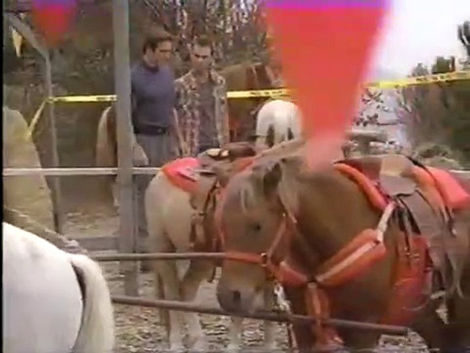 Diagnosis Mur-'der - Se7 - Ep07 HD Watch