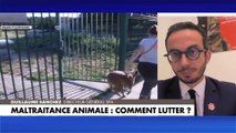 Guillaume Sanchez :«De plus en plus de Français sont sensibles à la condition animale» dans #LaParoleAuxFrançais