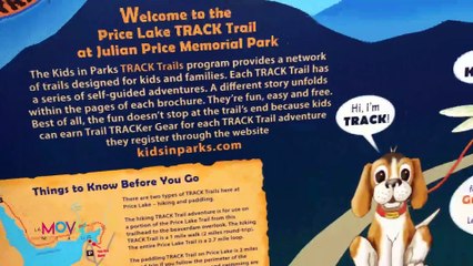 Rincones de Carolina del Norte que deberías visitar - La Movida Miami