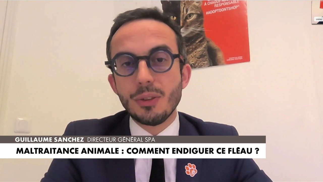 Guillaume Sanchez :«La maltraitance humaine et animale vont souvent ensemble» dans #LaParoleAuxFrançais