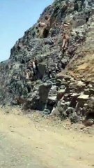 241a0cd6-a4bc-43e2-b52c-771105b13fec