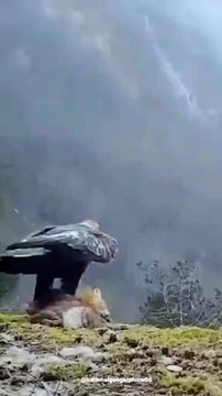 06e056fc-8609-45e1-9c3d-e449ecb53b82