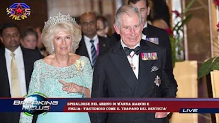 Spinalbese nel mirino di Wanna Marchi e  figlia: 'Fastidioso come il trapano del dentista'