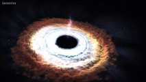 Stern in Donut-Form - NASA findet schwarzes Loch, um das ein zerstörter Stern kreist