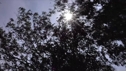 France : quel est le coût des catastrophes naturelles qui ont eu lieu en 2022 ?