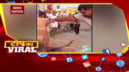 Viral Videos : देखिए सोशल मीडिया पर वायरल वीडियो का Countdown |