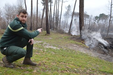 Après l'incendie de Landiras, à Hostens, le sous-sol brûle toujours : "On a mesuré 300°C"