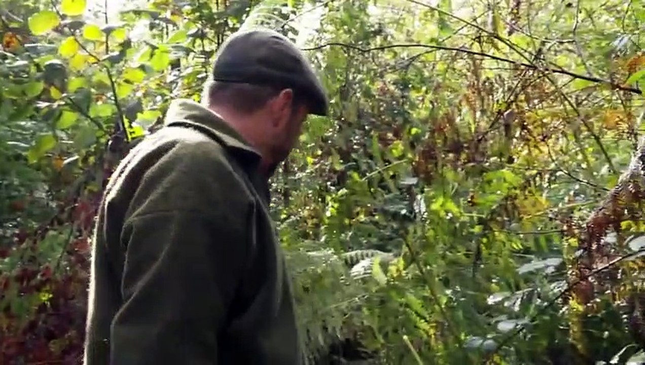 A Year in the New Forest - Se1 - Ep01 HD Watch