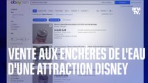Une attraction de Disney World jugée raciste ferme et son eau se retrouve vendue aux enchères sur Ebay