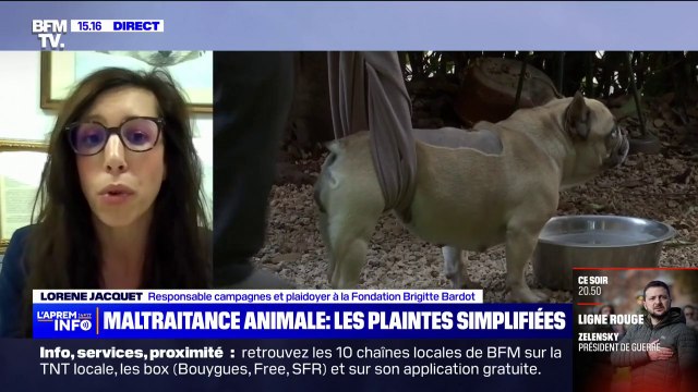 Lorène Jacquet (fondation Brigitte Bardot): C'est une vraie prise en compte de la souffrance animale par le ministère de l'Intérieur