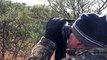 Blue Wildebeest hunt with Nick Bowker Safaris