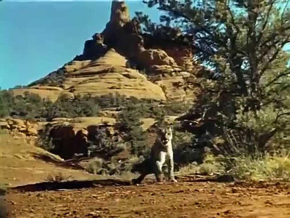 Bonanza - Se7 - Ep10 HD Watch