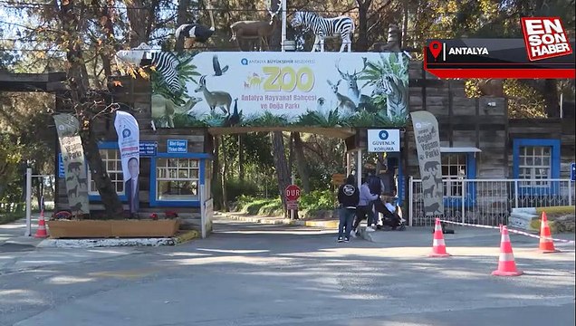 Tedavisi tamamlanan Kara Akbaba özgürlüğe kanat çırptı