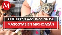 Michoacán se mantiene libre de rabia en humanos, continua vacunación para perros y gatos
